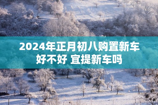 2025年正月初八购置新车好不好 宜提新车吗