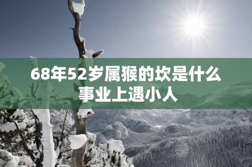 68年52岁属猴的坎是什么 事业上遇小人