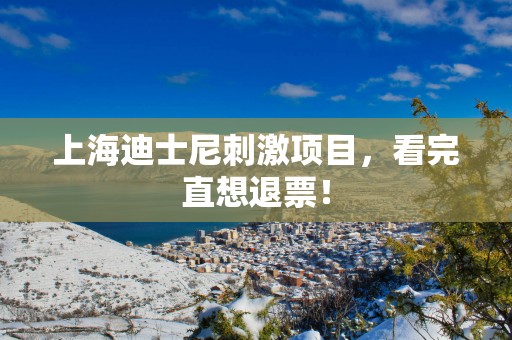 上海迪士尼刺激项目，看完直想退票！