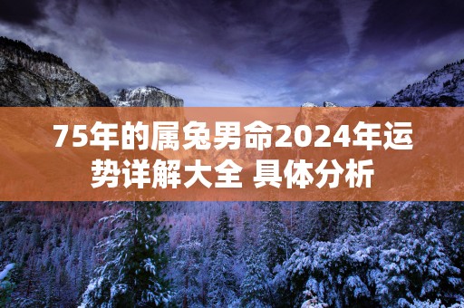 75年的属兔男命2025年运势详解大全 具体分析