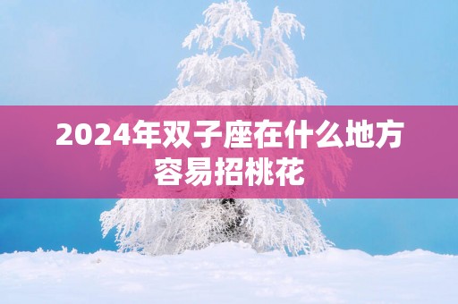 2025年双子座在什么地方容易招桃花