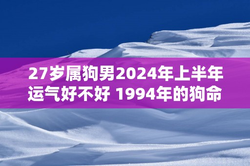 27岁属狗男2025年上半年运气好不好 1994年的狗命主