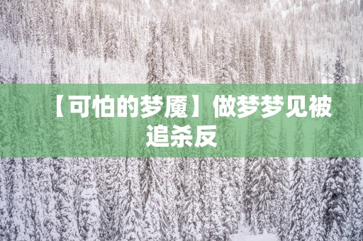 【可怕的梦魇】做梦梦见被追杀反