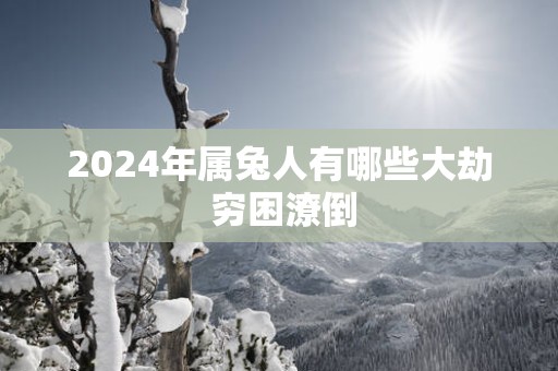 2025年属兔人有哪些大劫 穷困潦倒