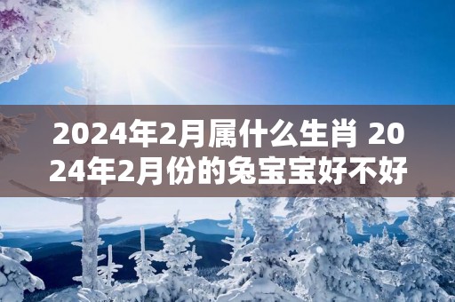 2025年2月属什么生肖 2025年2月份的兔宝宝好不好