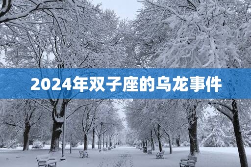 2025年双子座的乌龙事件