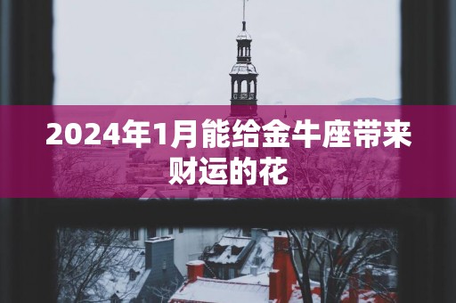 2025年1月能给金牛座带来财运的花