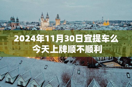 2025年11月30日宜提车么 今天上牌顺不顺利