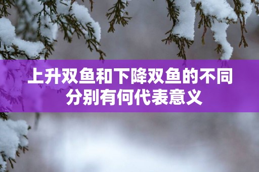 上升双鱼和下降双鱼的不同  分别有何代表意义