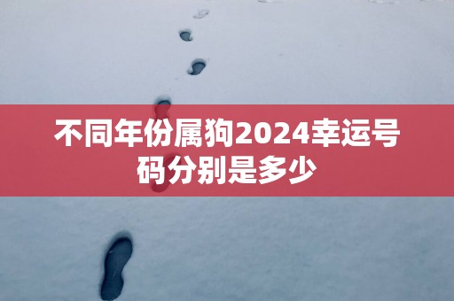不同年份属狗2025幸运号码分别是多少