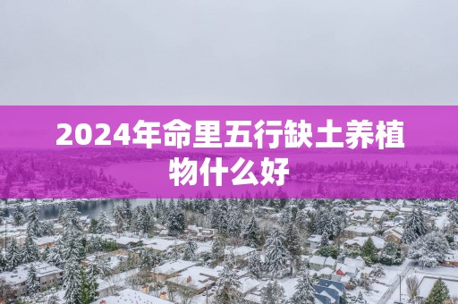 2025年命里五行缺土养植物什么好