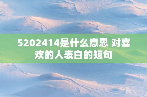 5202514是什么意思 对喜欢的人表白的短句