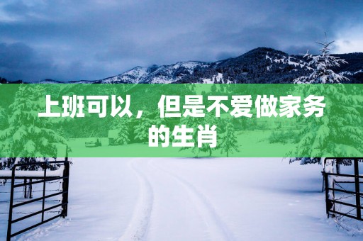 上班可以，但是不爱做家务的生肖