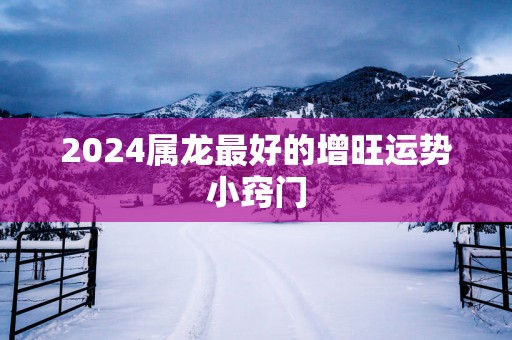 2025属龙最好的增旺运势小窍门