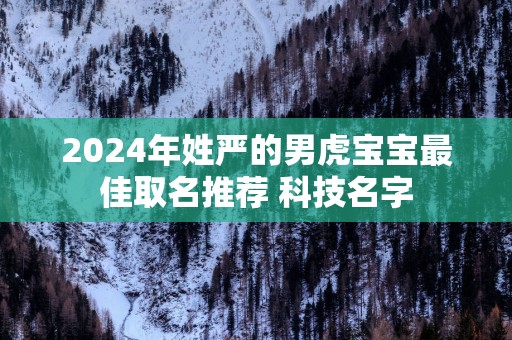 2025年姓严的男虎宝宝最佳取名推荐 科技名字