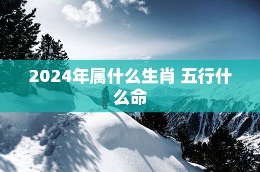 2025年属什么生肖 五行什么命