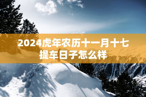 2024虎年农历十一月十七提车日子怎么样