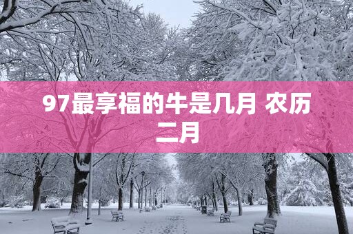 97最享福的牛是几月 农历二月