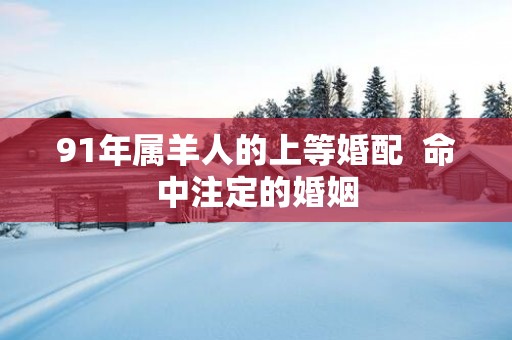 91年属羊人的上等婚配  命中注定的婚姻