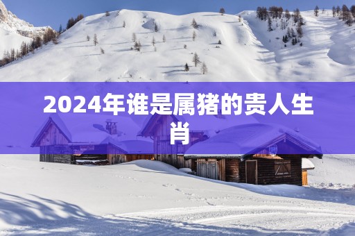 2025年谁是属猪的贵人生肖
