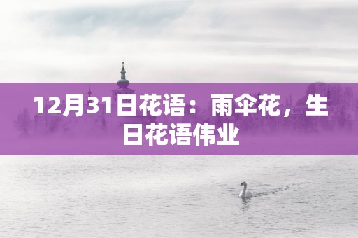 12月31日花语：雨伞花，生日花语伟业