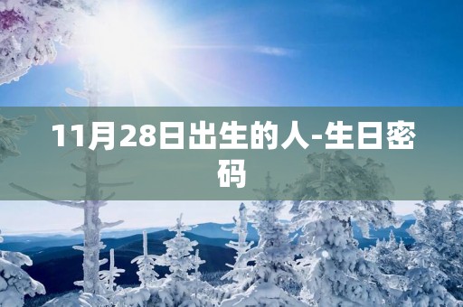 11月28日出生的人-生日密码