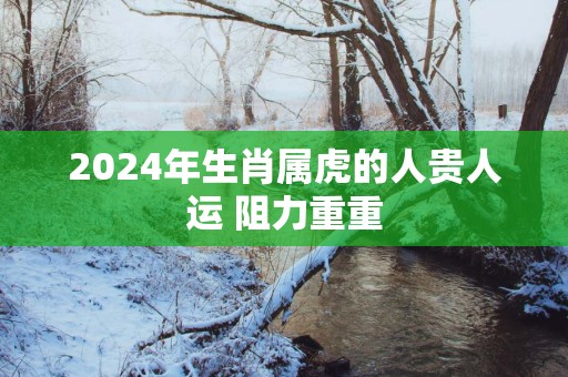 2025年生肖属虎的人贵人运 阻力重重