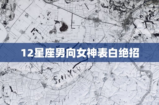 12星座男向女神表白绝招