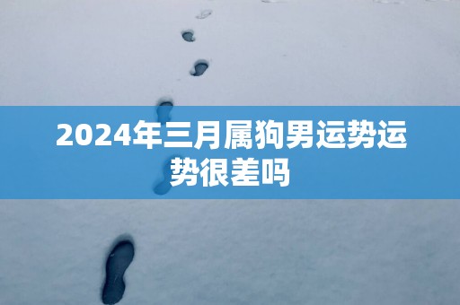 2025年三月属狗男运势运势很差吗