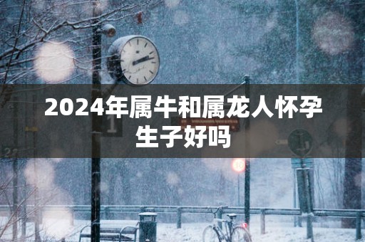 2025年属牛和属龙人怀孕生子好吗