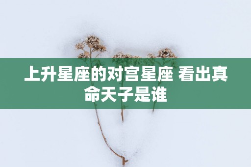 上升星座的对宫星座 看出真命天子是谁