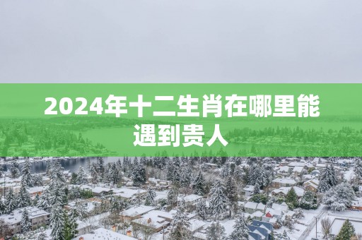 2025年十二生肖在哪里能遇到贵人