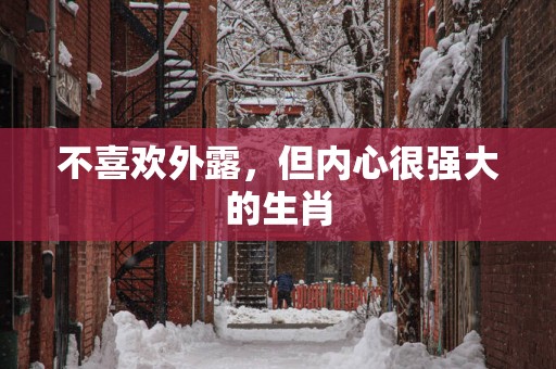 不喜欢外露，但内心很强大的生肖
