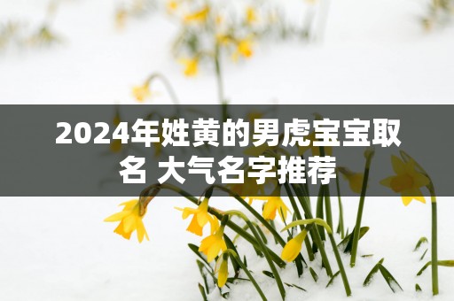 2025年姓黄的男虎宝宝取名 大气名字推荐