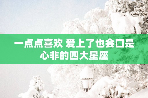 一点点喜欢 爱上了也会口是心非的四大星座
