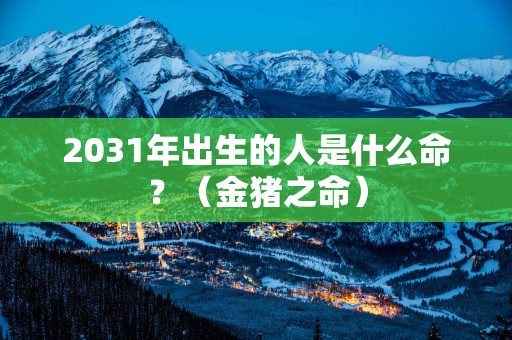 2031年出生的人是什么命？（金猪之命）