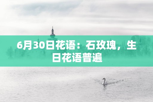6月30日花语：石玫瑰，生日花语普遍