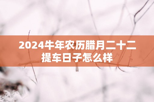2025蛇年农历腊月二十二提车日子怎么样