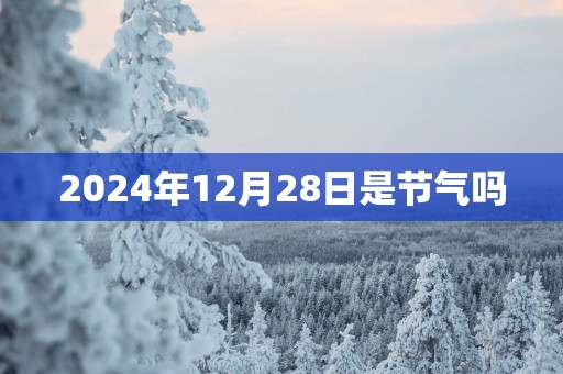 2025年12月28日是节气吗