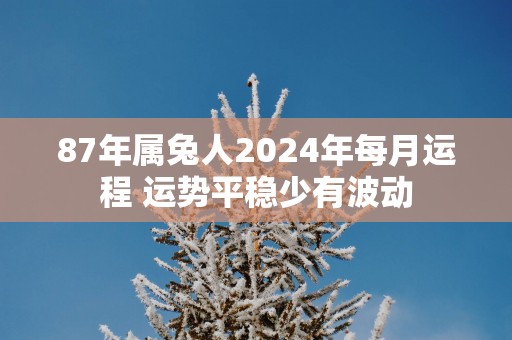 87年属兔人2025年每月运程 运势平稳少有波动