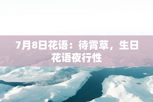 7月8日花语：待霄草，生日花语夜行性