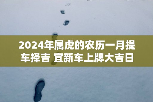 2025年属虎的农历一月提车择吉 宜新车上牌大吉日
