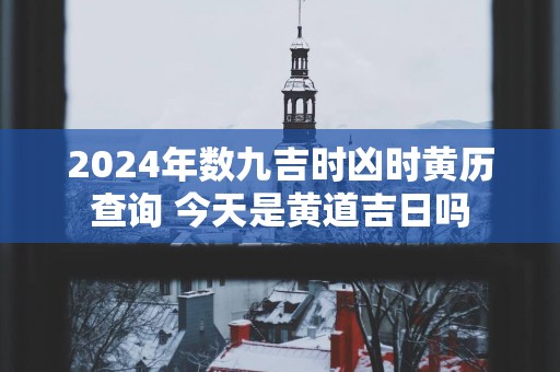 2025年数九吉时凶时黄历查询 今天是黄道吉日吗
