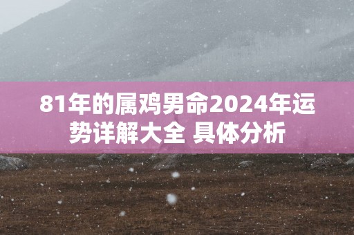 81年的属鸡男命2025年运势详解大全 具体分析