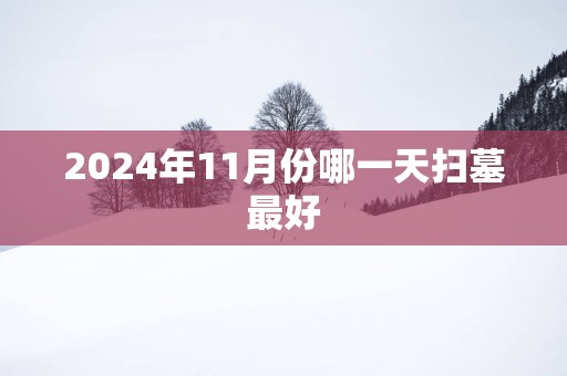 2025年11月份哪一天扫墓最好