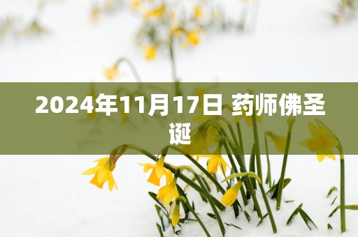 2025年11月17日 药师佛圣诞
