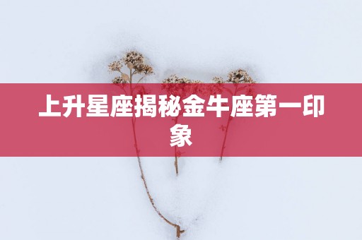 上升星座揭秘金牛座第一印象