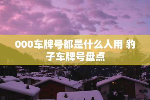 000车牌号都是什么人用 豹子车牌号盘点