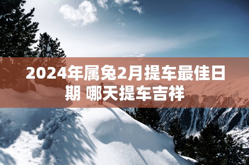 2025年属兔2月提车最佳日期 哪天提车吉祥