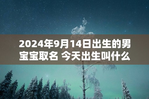 2025年9月14日出生的男宝宝取名 今天出生叫什么名字好